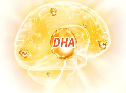 【Brain Health Ingredient Series 5】 Докозагексаеновая кислота (DHA): &laquo;Нейронное золото&raquo; для создания мозга